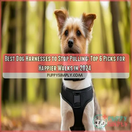 best dog harnesses to stop pulling