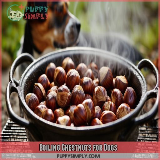 Boiling Chestnuts for Dogs