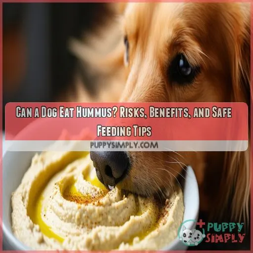 can a dog eat hummus