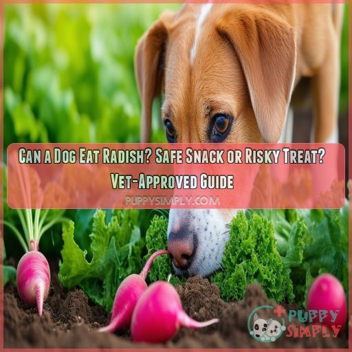 can a dog eat radish