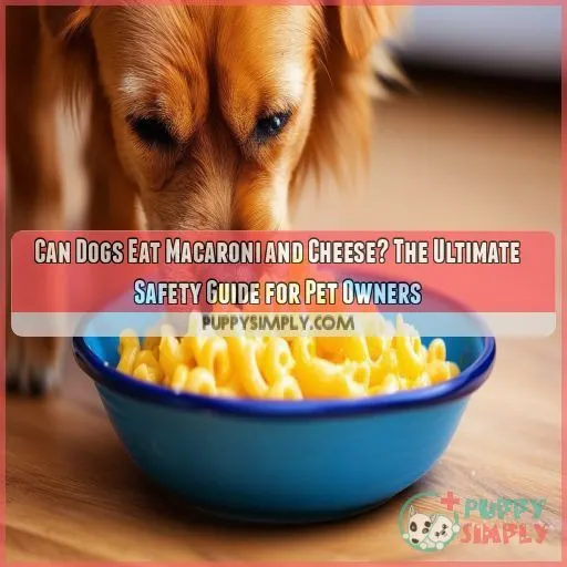 can dog eat macaroni and cheese