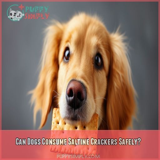 Can Dogs Consume Saltine Crackers Safely