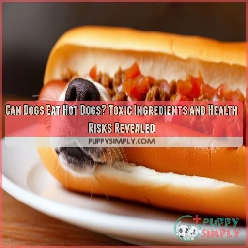 can dogs eat a hot dog