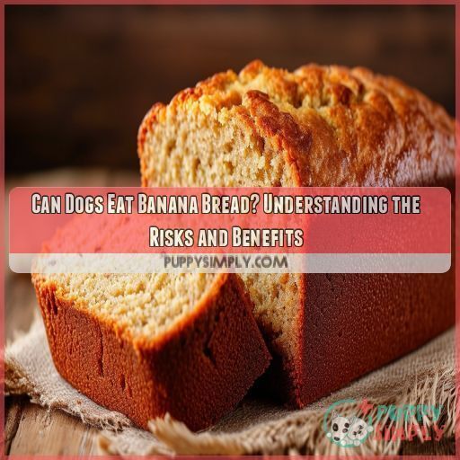 can-dogs-eat-banana-bread-safe-tips-hidden-dangers-2024-guide