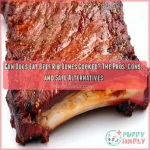 can dogs eat beef rib bones cooked