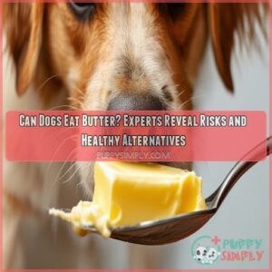 can dogs eat butter