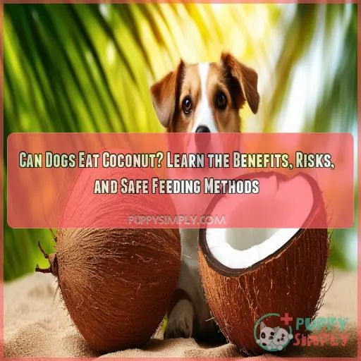 can dogs eat coconut