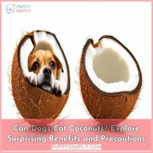 can dogs eat coconuts