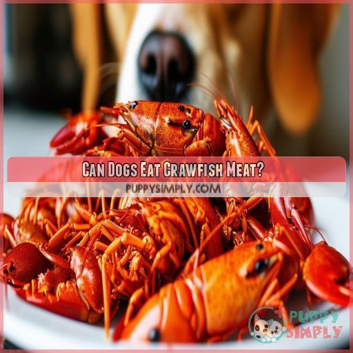 Can Dogs Eat Crawfish Meat