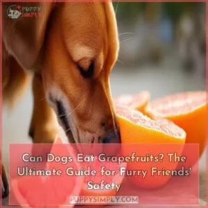 can dogs eat grapefruits