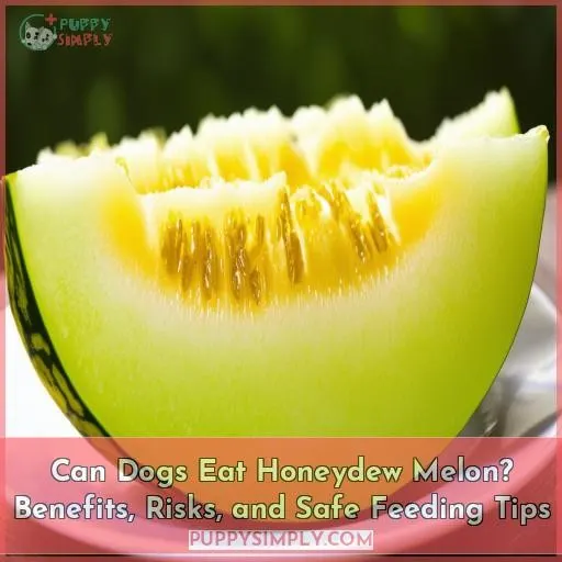 can dogs eat honey dew melon