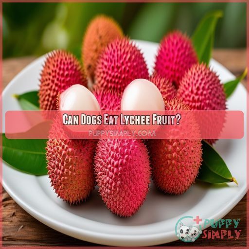 Can Dogs Eat Lychee Fruit