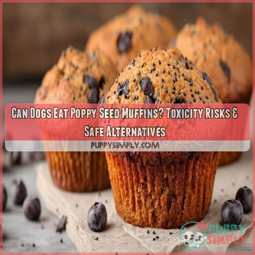 Can Dogs Eat Poppy Seed Muffins? Toxicity Risks & Safe Alternatives