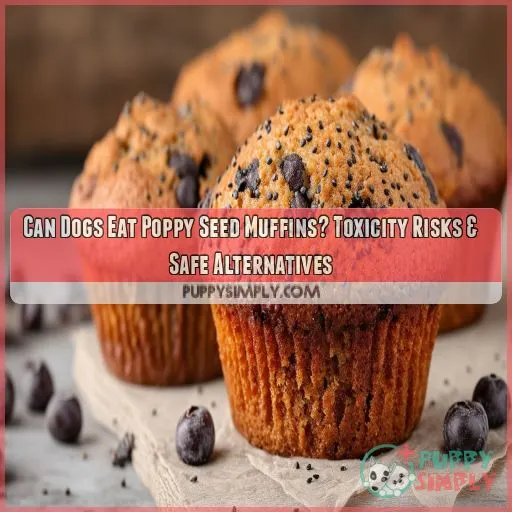 can dogs eat poppy seed muffins