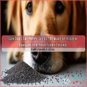 can dogs eat poppy seeds