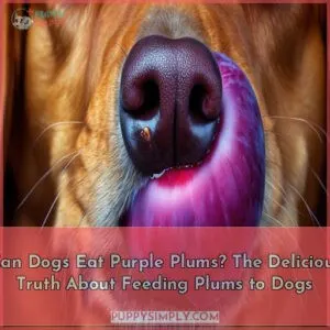 can dogs eat purple plums