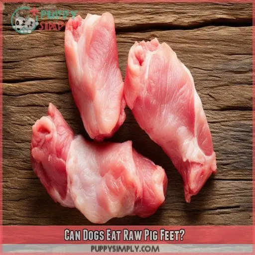 Can Dogs Eat Raw Pig Feet