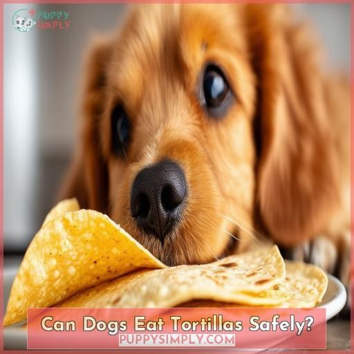 Can Dogs Eat Tortillas Safely