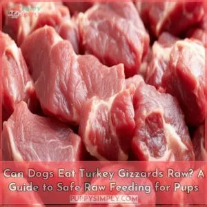 can dogs eat turkey gizzards raw