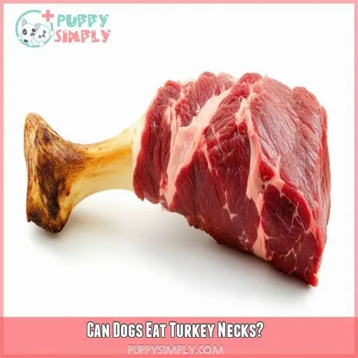 Can Dogs Eat Turkey Necks