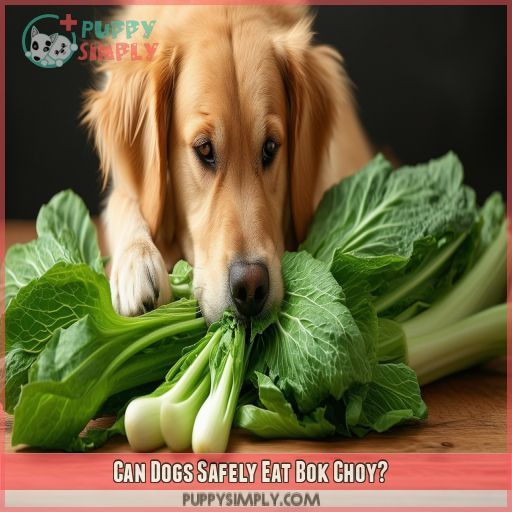 Can Dogs Safely Eat Bok Choy
