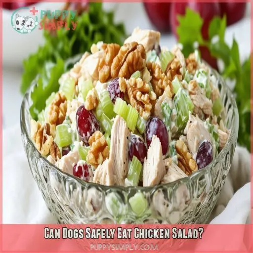 Can Dogs Safely Eat Chicken Salad