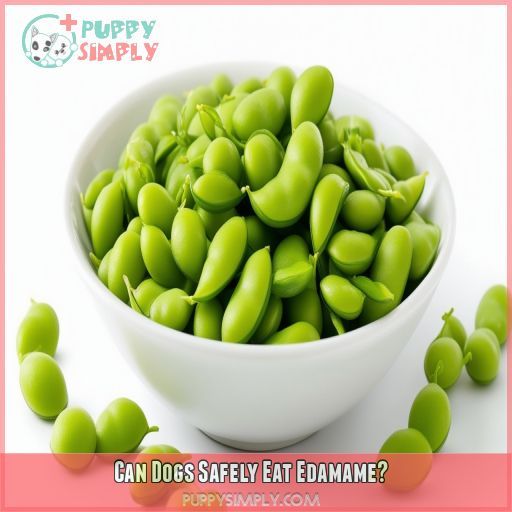 Can Dogs Safely Eat Edamame