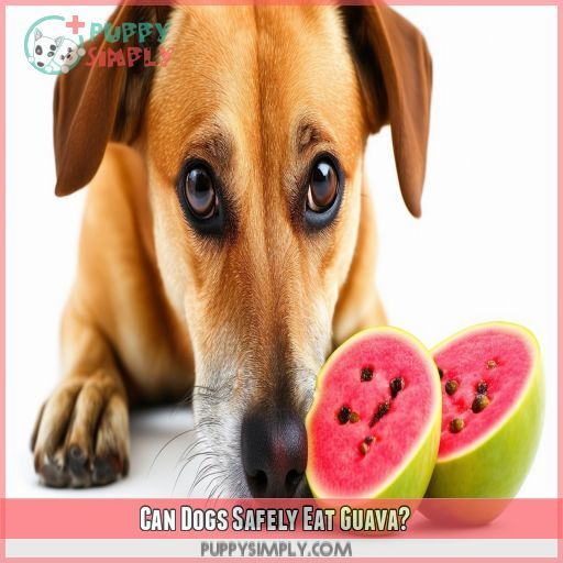 Can Dogs Safely Eat Guava