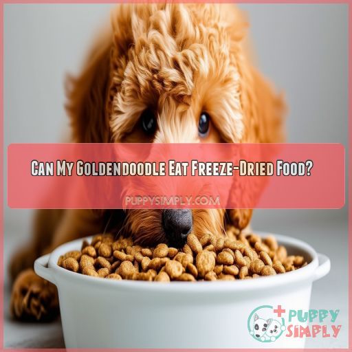 Can My Goldendoodle Eat Freeze-Dried Food