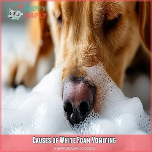 Causes of White Foam Vomiting