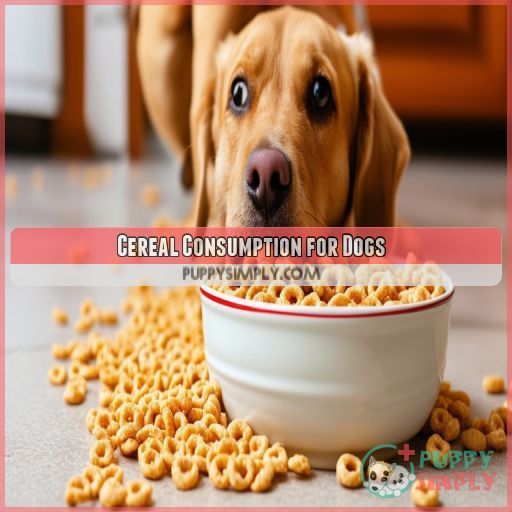 Cereal Consumption for Dogs