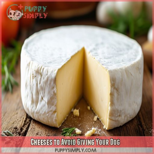 Cheeses to Avoid Giving Your Dog