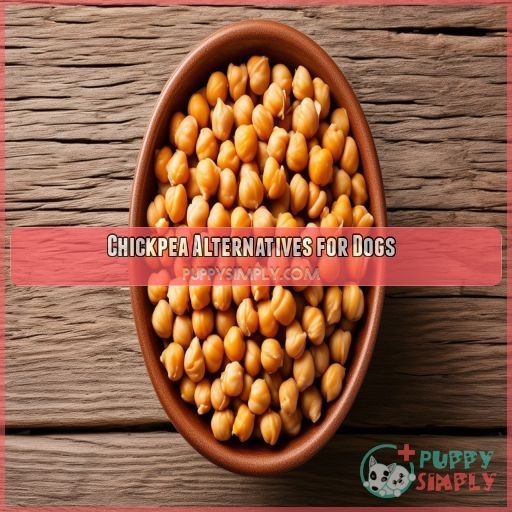 Chickpea Alternatives for Dogs