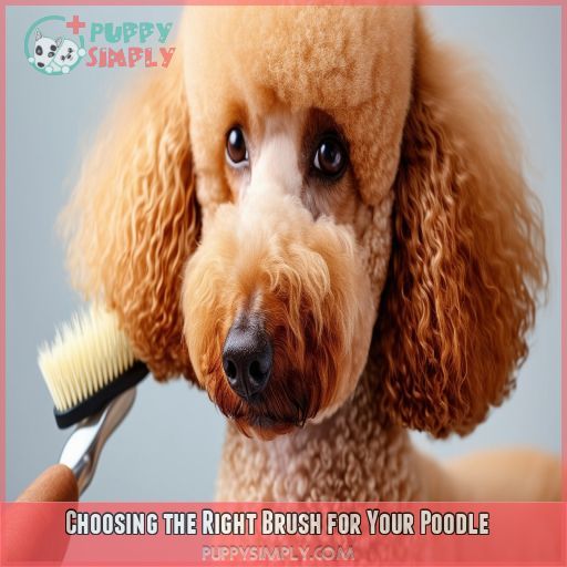 Choosing the Right Brush for Your Poodle