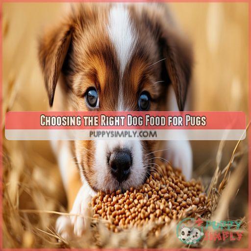 Choosing the Right Dog Food for Pugs
