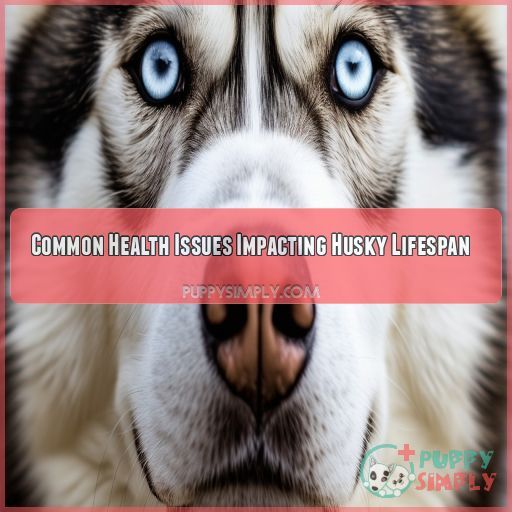 Common Health Issues Impacting Husky Lifespan