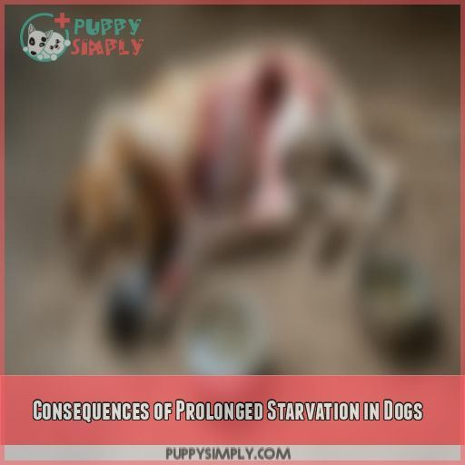 Consequences of Prolonged Starvation in Dogs