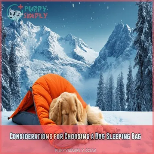 Considerations for Choosing a Dog Sleeping Bag
