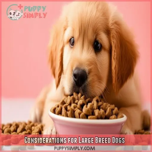 Considerations for Large Breed Dogs