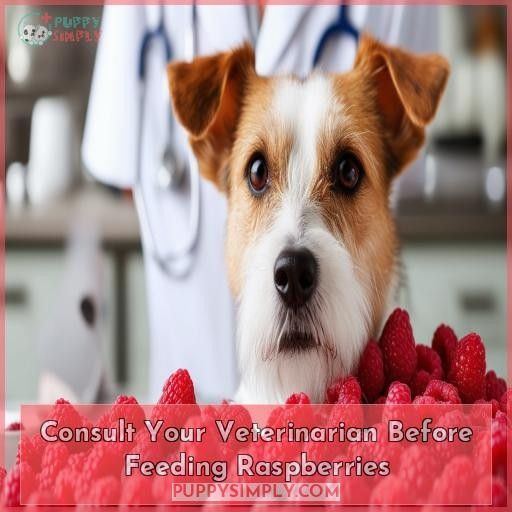 Consult Your Veterinarian Before Feeding Raspberries