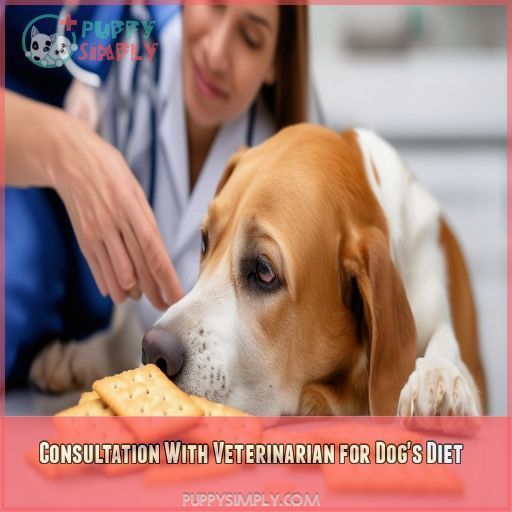 Consultation With Veterinarian for Dog