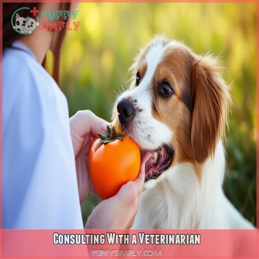 Consulting With a Veterinarian