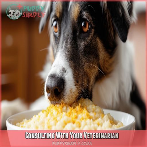 Consulting With Your Veterinarian