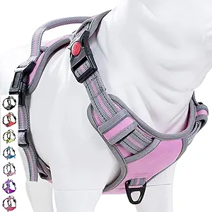 Coohom No Pull Dog Harness