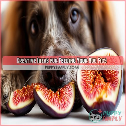 Creative Ideas for Feeding Your Dog Figs