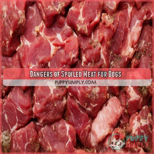 Dangers of Spoiled Meat for Dogs