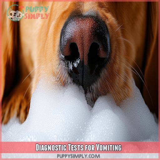 Diagnostic Tests for Vomiting