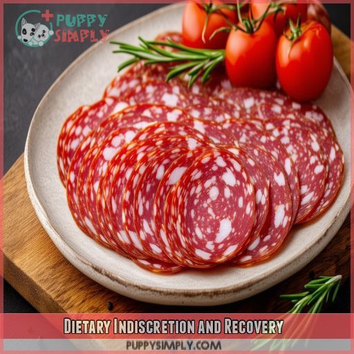 Dietary Indiscretion and Recovery