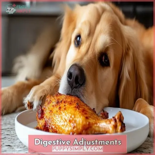 Digestive Adjustments