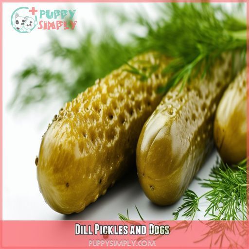 Dill Pickles and Dogs